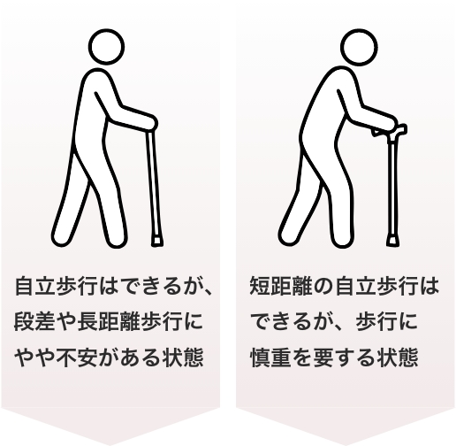 軽度〜中程度向け