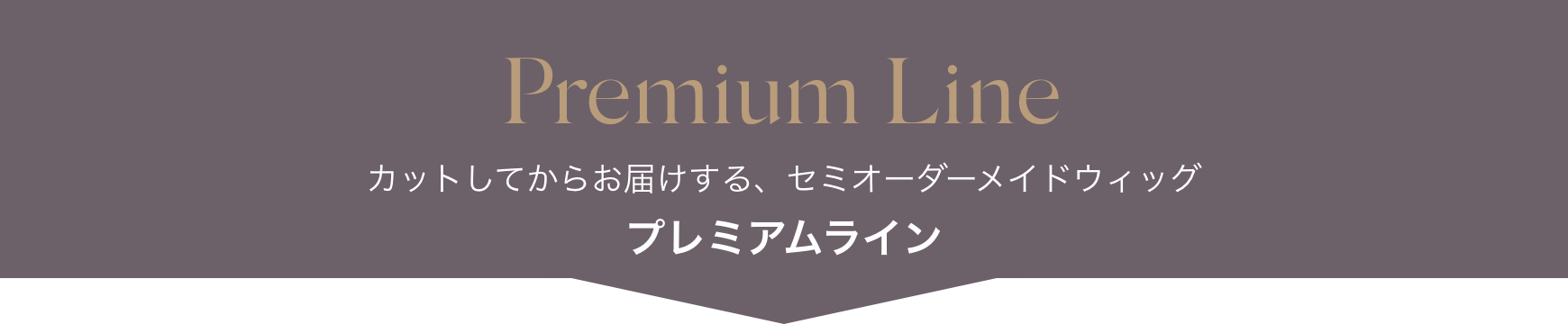 医療用ウィッグ　プレミアムライン