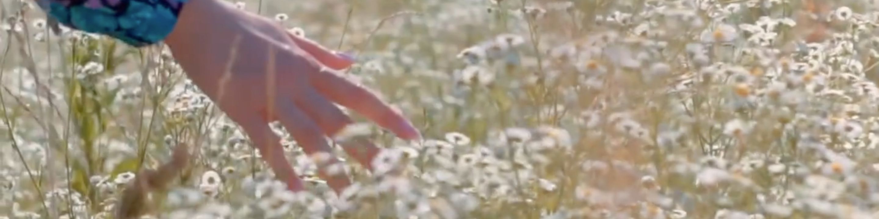 初めての方へ