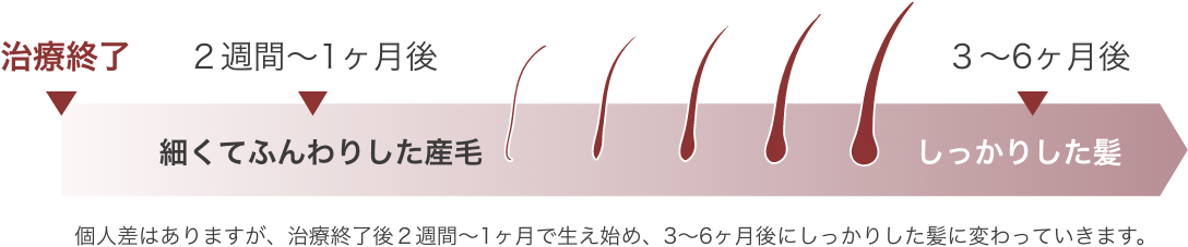 抗がん剤治療後の髪の毛の生え始めについて